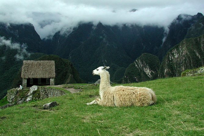 6 Day Private Tour From Lima Cusco Sacred Valley And Machu Picchu