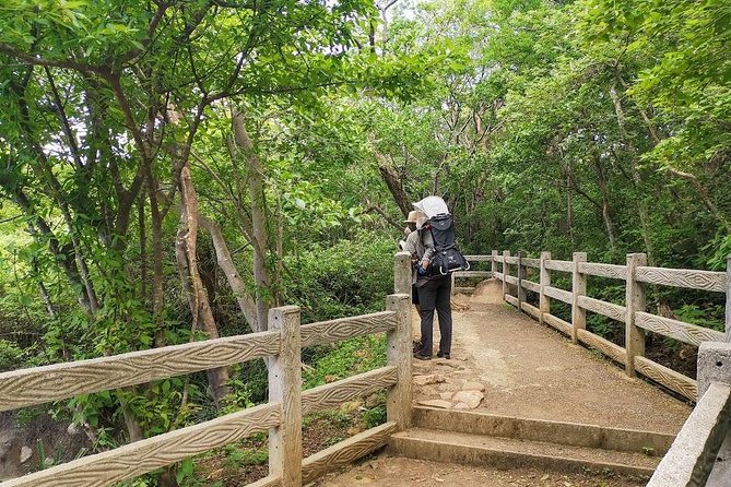 Hiking To The Rincon De La Vieja Volcano National Park Private Tour