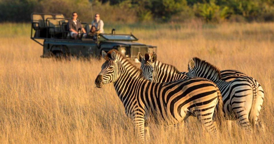 1/2 Day Phezulu Safari Tour From Durban - Just The Basics