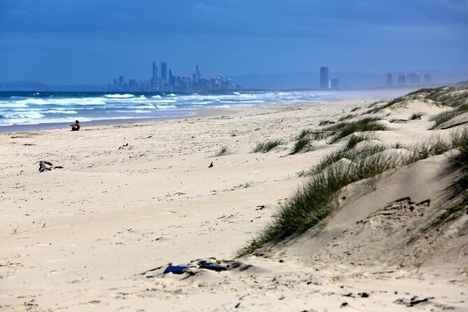 1.5 Hr Jet Ski Safari Tour to South Stradbroke Island! - Just The Basics