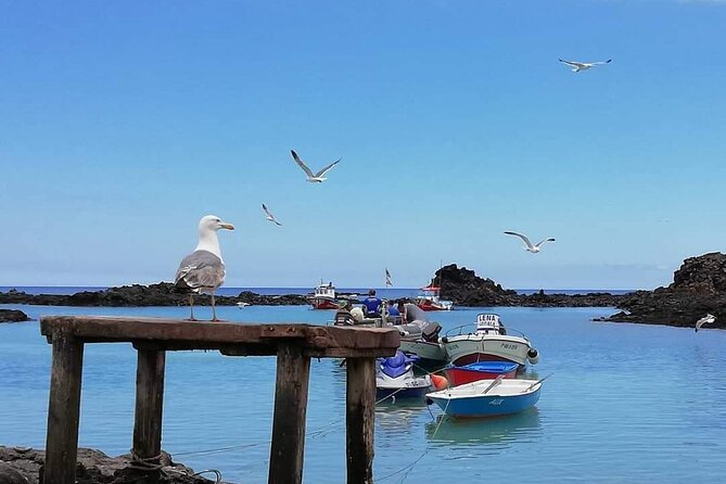 1 Day Hiking Adventure in Isla Lobos - Key Points