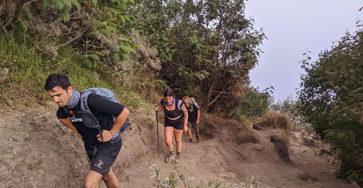 1 Day Hiking Mount of Merbabu All In. - Key Points