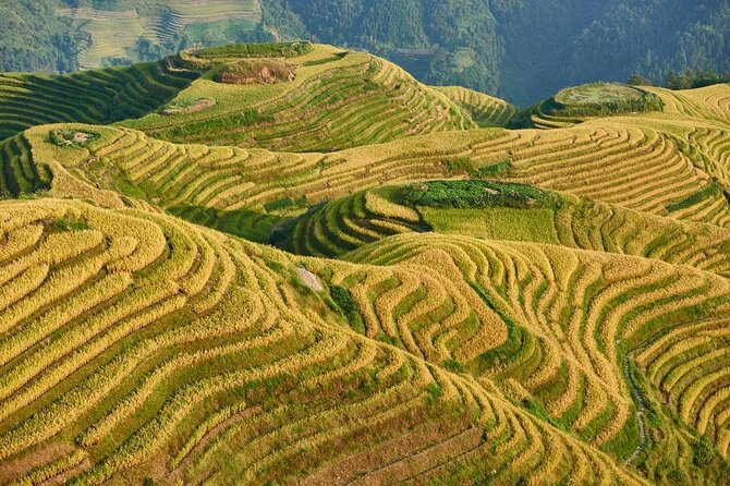 1-Day Longsheng Rice Terrace Tour From Guilin With Private Guide & Driver - Key Points