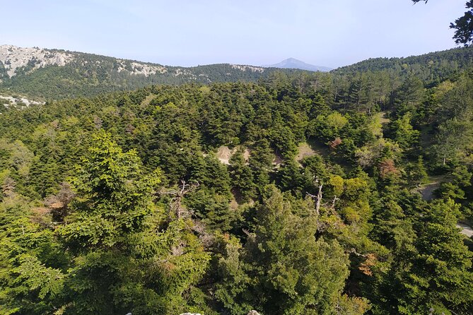 1 Day Parnitha Athens Private Hiking Tour - Key Points