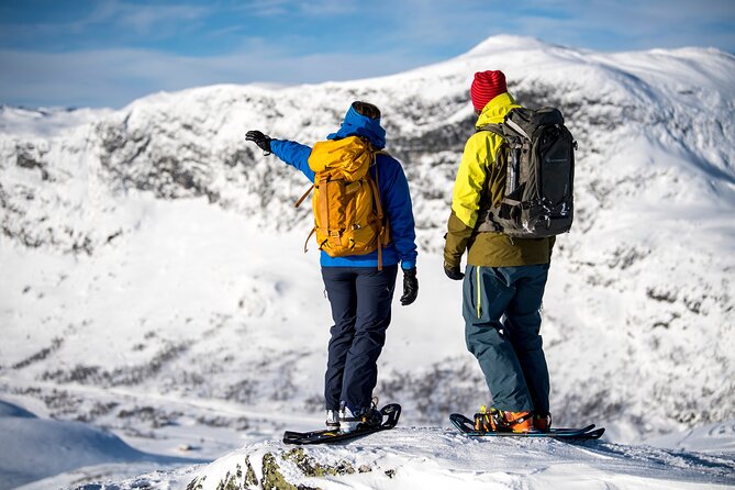 1 Day Snowcoach and Snowshoe Adventure in Jotunheimen - Overview of Jotunheimen Snow Adventure