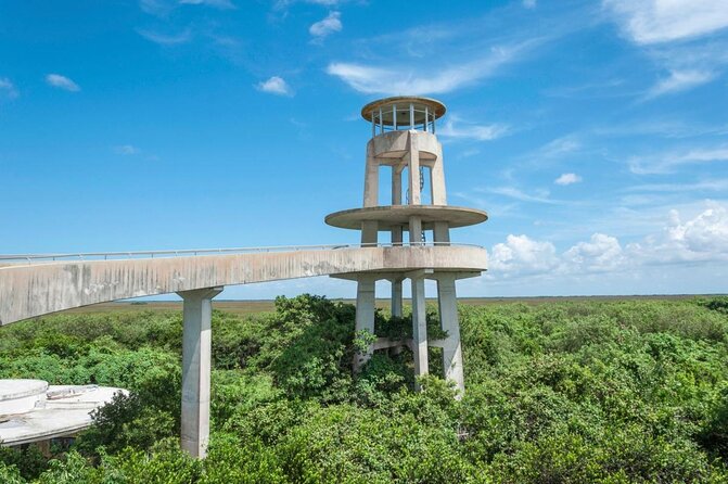 1-Hour Air Boat Ride and Nature Walk With Naturalist in Everglades National Park - Just The Basics