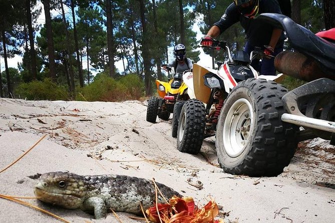 1 Hour Quad Bike Tours, Only 30 Minutes From Perth - Key Points