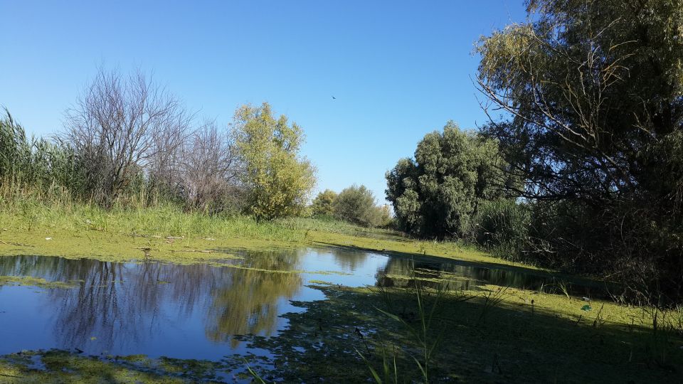 From Bucharest: 3-Day Danube Delta Birdwatching Private Tour - Last Words