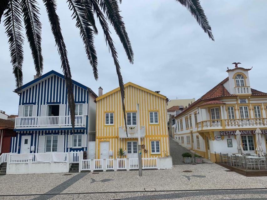 From Porto: Aveiro & Coimbra Small Group Tour River Cruise - Last Words