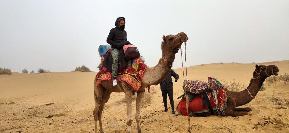 Nomadic Non-Touristic Overnight Camel & Desert Safari Tour - Last Words