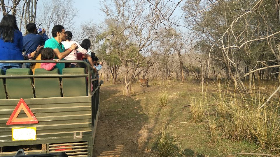 Ranthambore National Park - Last Words