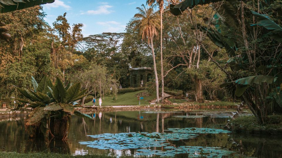 Rio De Janeiro: 4-Hour Botanical Garden & Tijuca Forest Tour - Botanical Garden Highlights
