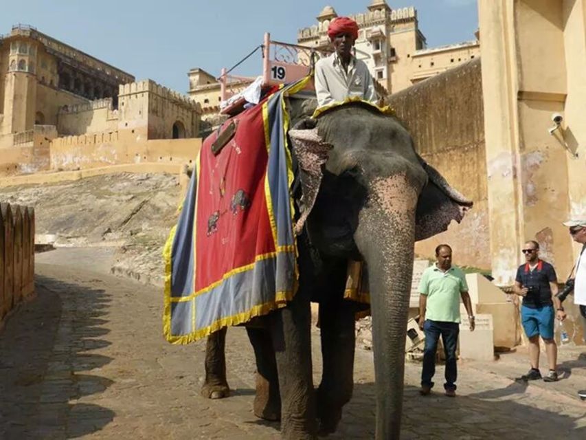 15 Days Royal Rajasthan Fort & Palace Tour From Delhi - Key Points