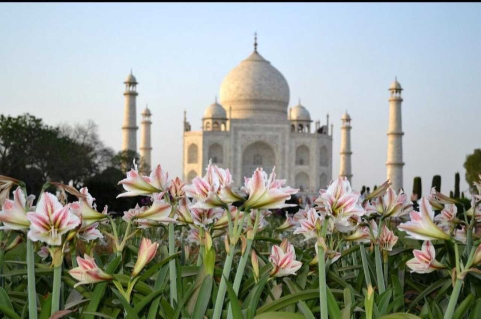 1 06 days golden triangle tour with ranthambore safari 06 Days Golden Triangle Tour With Ranthambore Safari