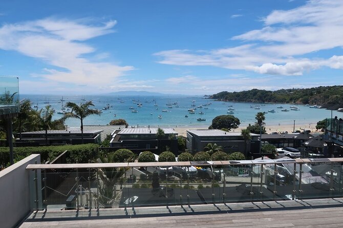 1.5h Waiheke Guided Scenic Tour in Our Electric Van