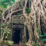 1 1 day angkor wat tour 1 Day Angkor Wat Tour