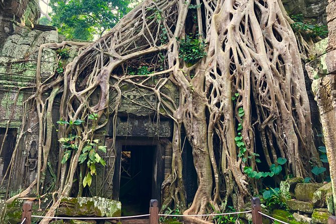 1 Day Angkor Wat Tour