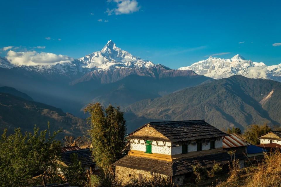 1 Day Dhampus Trek