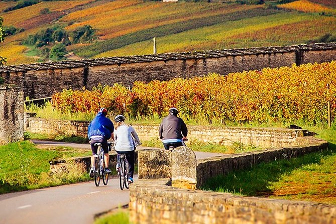 1 1 day e bike and wine tour in cote de nuits 1 Day E-Bike and Wine Tour in Cote De Nuits