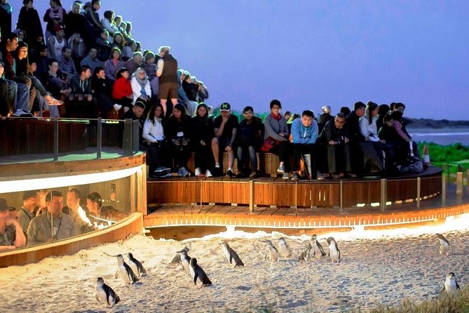 1 Day Exclusively Private Tour Of Phillip Island & The Penguin Parade