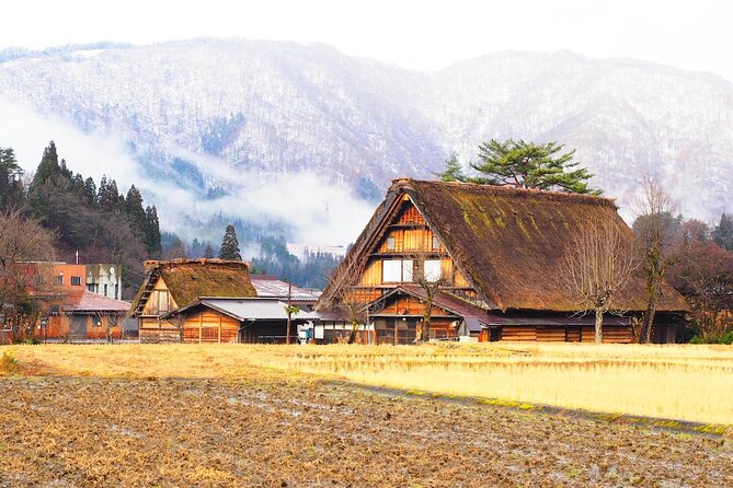 1 Day Private Charter Tour to Takayama & Shirakawago