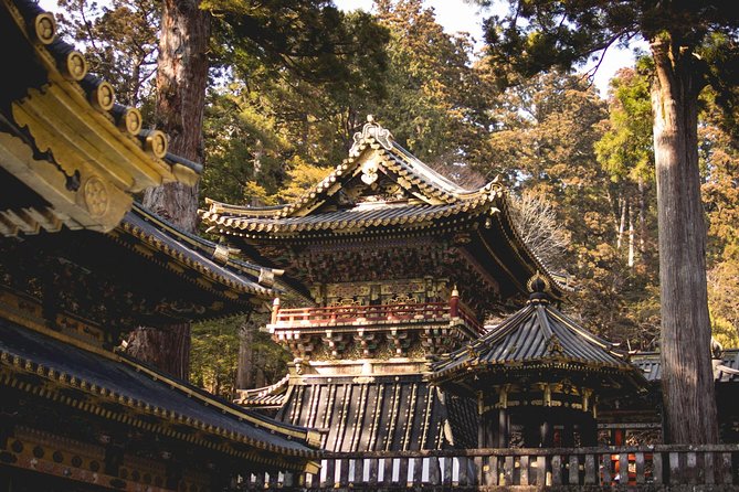 1 Day Private Nikko World Heritage Tour (Charter) – English Speaking Driver