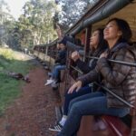 1 1 day puffing billy steam train and wildlife tour from melbourne 1 Day Puffing Billy Steam Train and Wildlife Tour From Melbourne