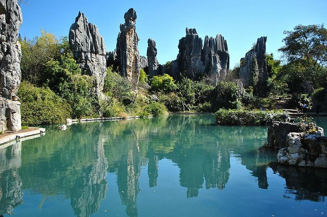 1 Day Stone Forest & Jiuxiang Cave Tour