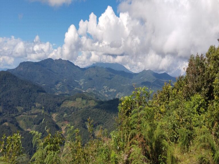 1 Day Thai Mountain Eco Trek