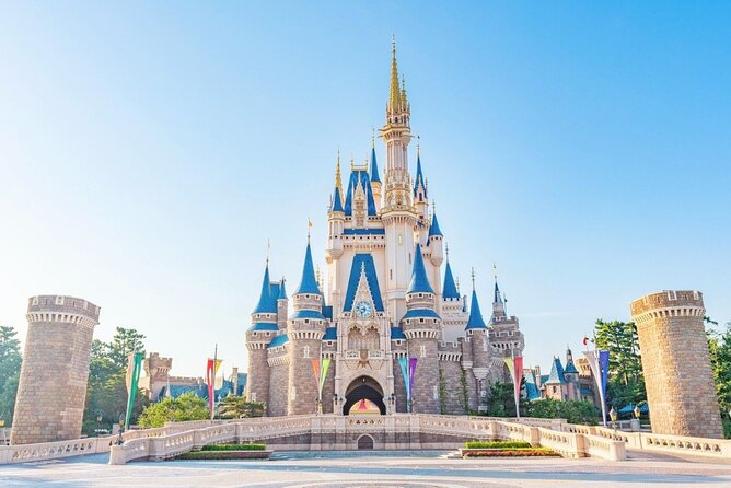 1 Day Ticket to Tokyo Disneyland With Private Transfer
