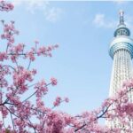 1 1 day tokyo tour customizable up to 6 persons 1 Day Tokyo Tour: Customizable (Up-To 6 Persons)