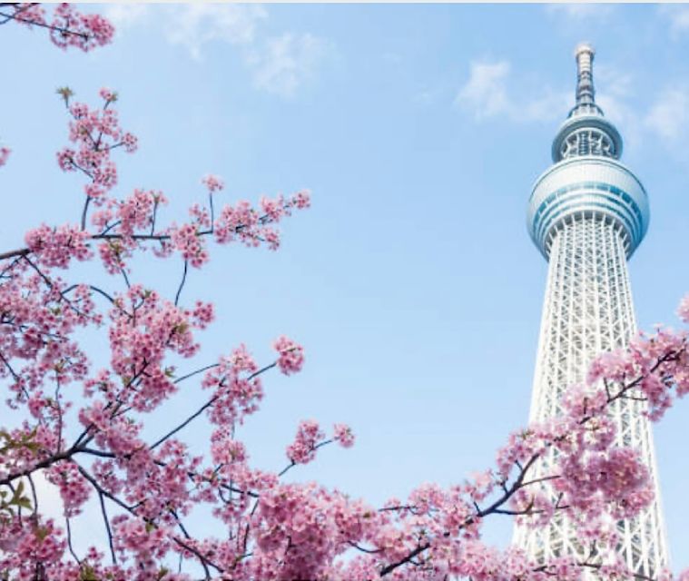 1 Day Tokyo Tour: Customizable (Up-To 6 Persons)