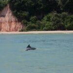 1 1 day tour to pipa beach rn departing from natal rn 1 Day Tour to Pipa Beach / RN - Departing From Natal / RN
