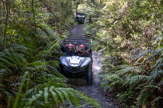 1 1 hour enchanted forest track buggies 1 Hour Enchanted Forest Track - BUGGIES
