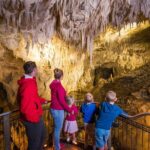 1 1 hour guided tour of aranui cave waitomo 1-Hour Guided Tour of Aranui Cave Waitomo