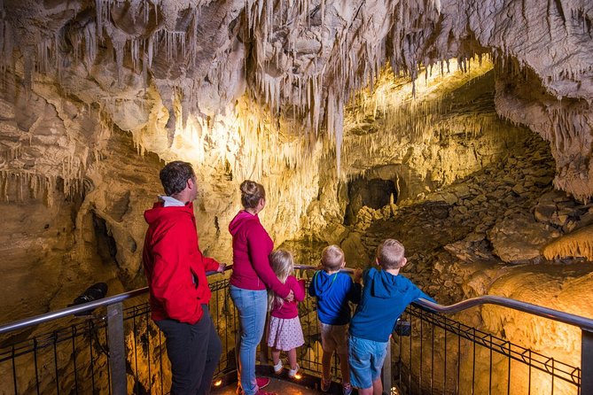 1-Hour Guided Tour of Aranui Cave Waitomo