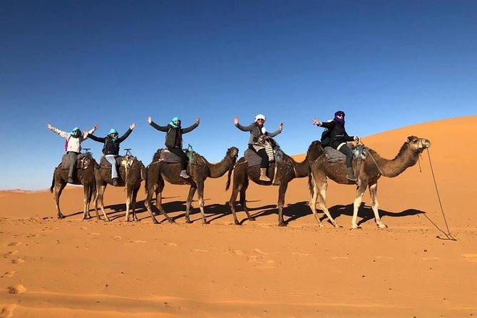 1 1 night camel trekking tour in merzouga desert camp 1 Night Camel Trekking Tour in Merzouga Desert Camp