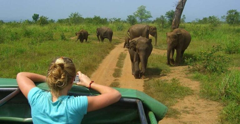 10-Days Discover Sri Lanka’s Natural Beauty and Wildlife