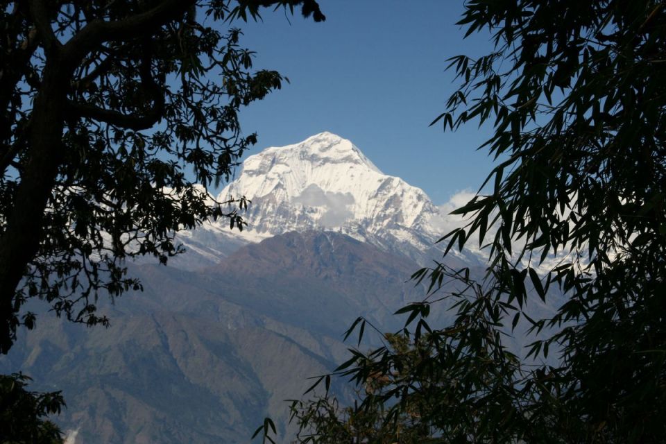 1 14 day annapurna comfort trek with rafting and jungle safari 14-Day Annapurna Comfort Trek With Rafting and Jungle Safari