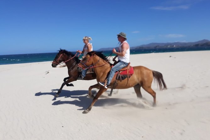 1,5 Hours Private Horseback Riding Tour in Playa Conchal