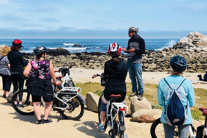 2.5-Hour Electric Bike Tour Along 17 Mile Drive of Coastal Monterey