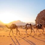 1 2 day desert tour from marrakech to zagora private luxury 2-Day Desert Tour From Marrakech to Zagora Private & Luxury