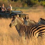 1 2 day drakensberg tala game reserve tour from durban 2 Day Drakensberg & Tala Game Reserve Tour From Durban