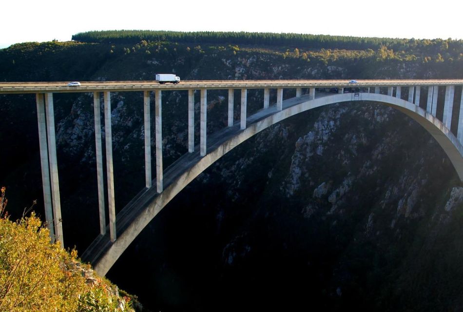 1 2 day garden route bungee jump zipline shark diving tour 2-Day Garden Route Bungee Jump, Zipline & Shark Diving Tour