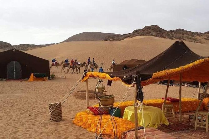 2-Day Zagora Tour From Marrakech Including the Atlas Mountains, Camel Trek and Desert Camp