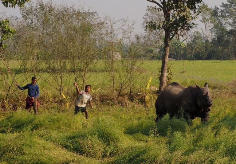 2 Days Chitwan Safari Tour