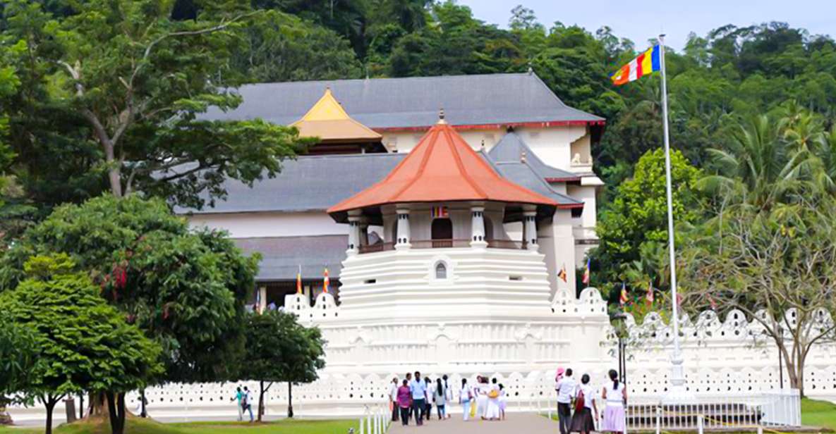 1 2 days kandy and nuwara eliya tour from colombo 2 Days -Kandy and Nuwara Eliya Tour From Colombo