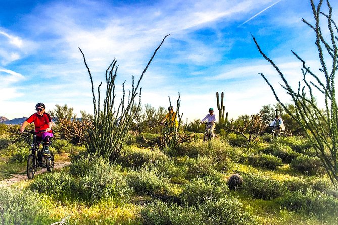 1 2 hour arizona desert guided e bike tour 2-Hour Arizona Desert Guided E-Bike Tour