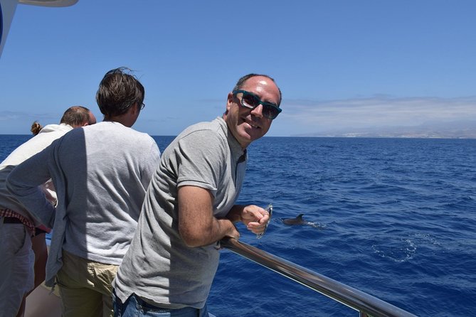 2-Hour Dolphin and Whale Watching in Gran Canaria