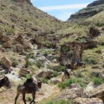 1 2 hour horseback riding through red rock canyon 2-Hour Horseback Riding Through Red Rock Canyon